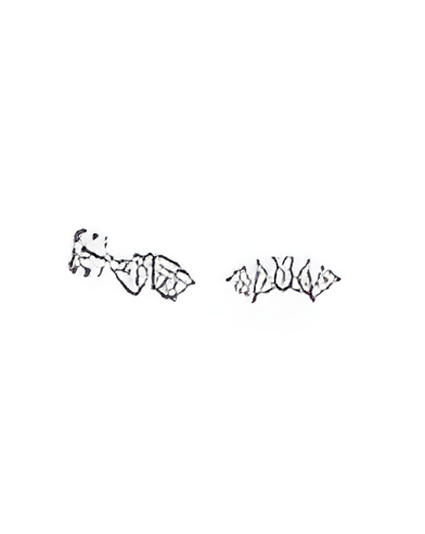 copy of Collar Elara 0,33 | Diamantes - Jewelry - 