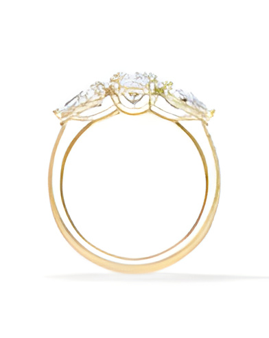 Gold or platinum engagement ring with various diamond cuts | Staring