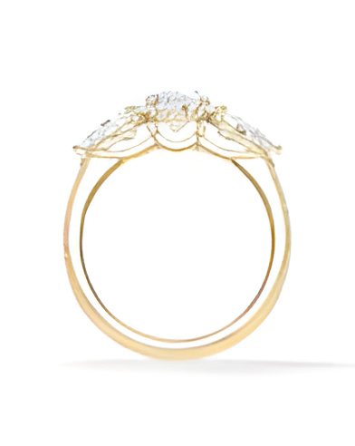 Gold or platinum engagement ring with various diamond cuts | Staring