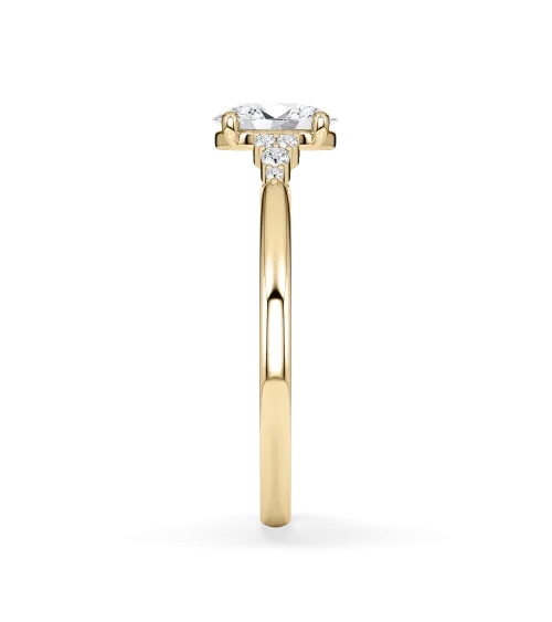 Lab-grown diamond combined engagement rings | Staring