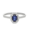 Custom payment link: 1043 euros